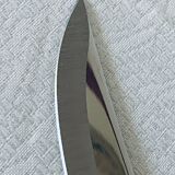 Silea 2-piece grape cutting service in silver-plated metal