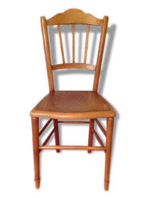 Chair Bistro décor crocodile light wood