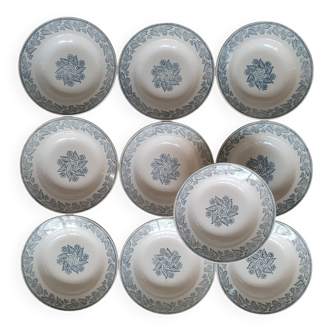 10 Terre de Fer soup plates, Longwy - Saintonge