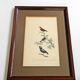 Lot de 2 gravures animalières xixème illustration travies encadrement d’art cabinet de curiosité