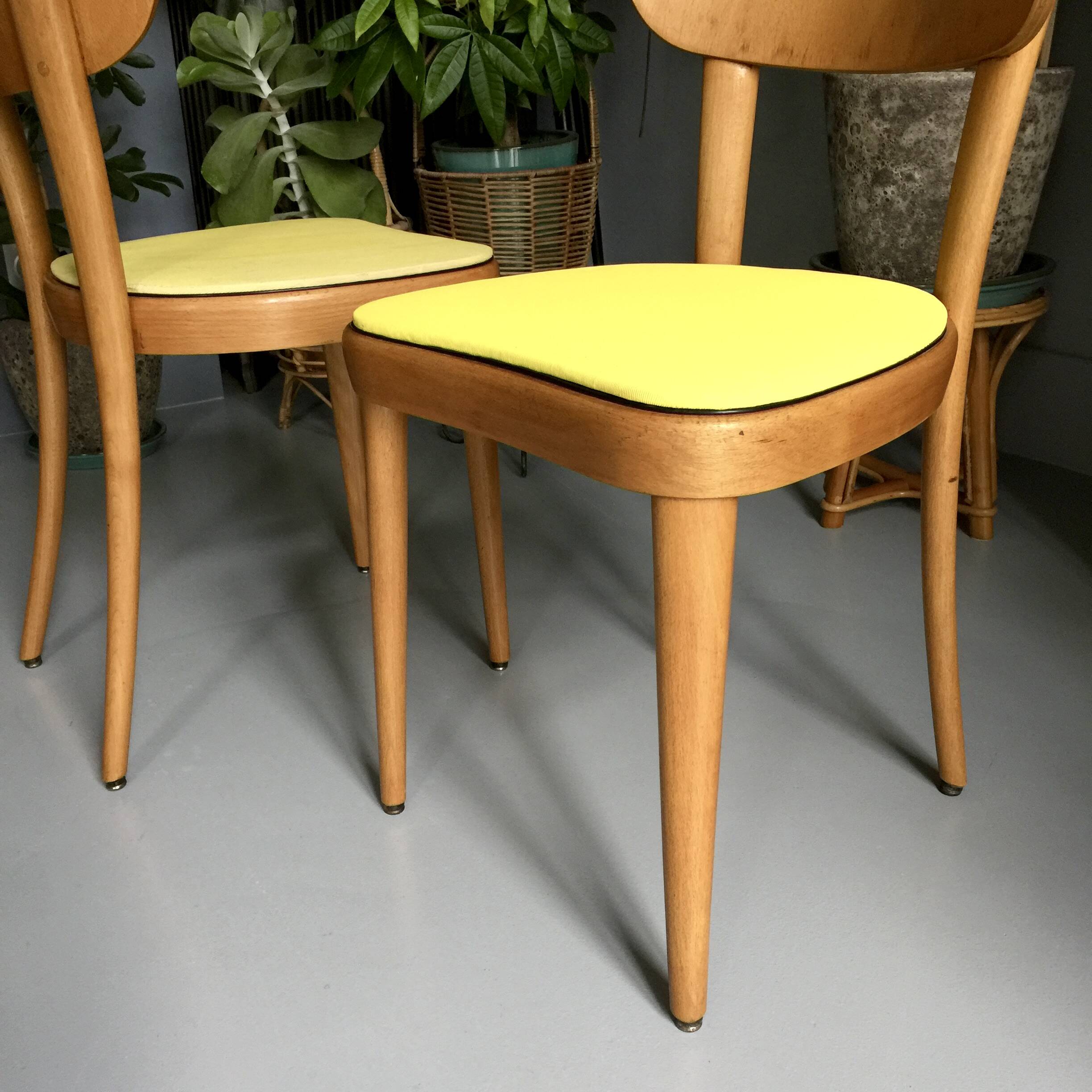 6 yellow and wood Thonet chairs