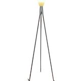 Rosy Angelis floor lamp by Philippe Starck, 1994