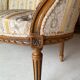 Salon soie et bois style Louis XV