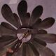Paire d’appliques Ferro-Art