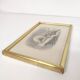 Zoological board engraving Buffon white bear and seal gilded wood frame