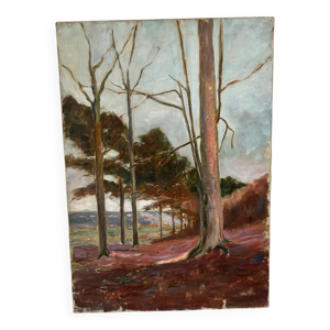 Paysage de Vernon du - xxeme