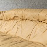 2-Seater sofa ‘Brigantin’ by Michel Ducaroy