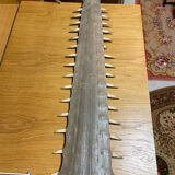 Old sawfish rostrum
