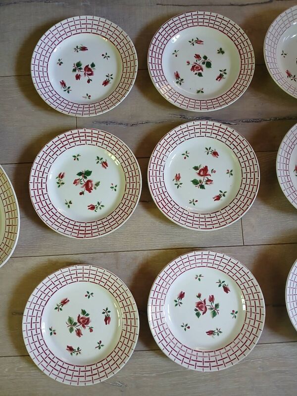 12 assiettes + 1 Plat Digoin et Sarreguemines