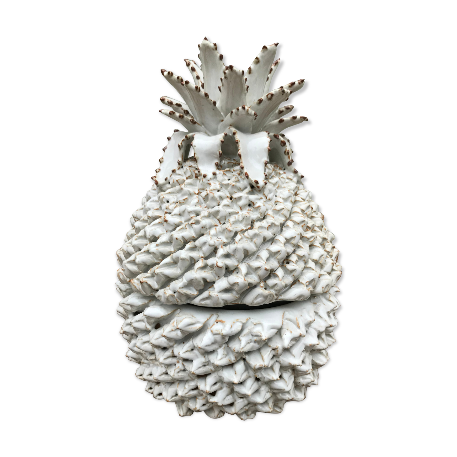 Empty pocket pineapple