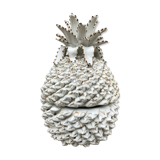Empty pocket pineapple