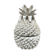 Empty pocket pineapple