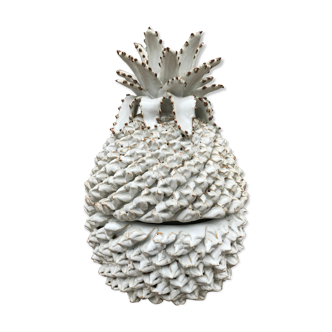 Empty pocket pineapple