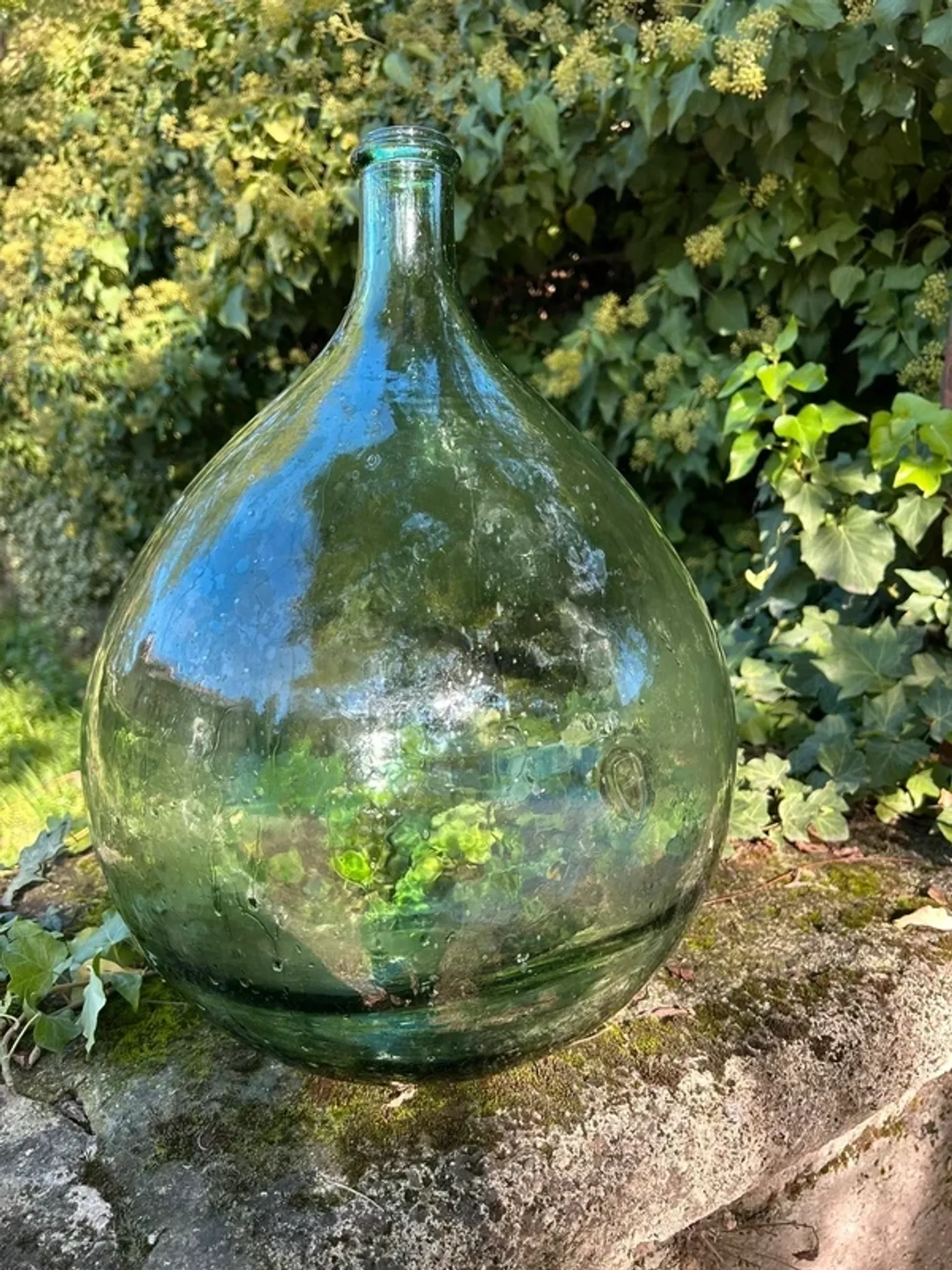 Give me green Jeanne 20 L.