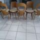 Suite of 6 chairs Baumann model Mondor and Seagull 1960