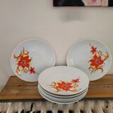 70s dinner plates