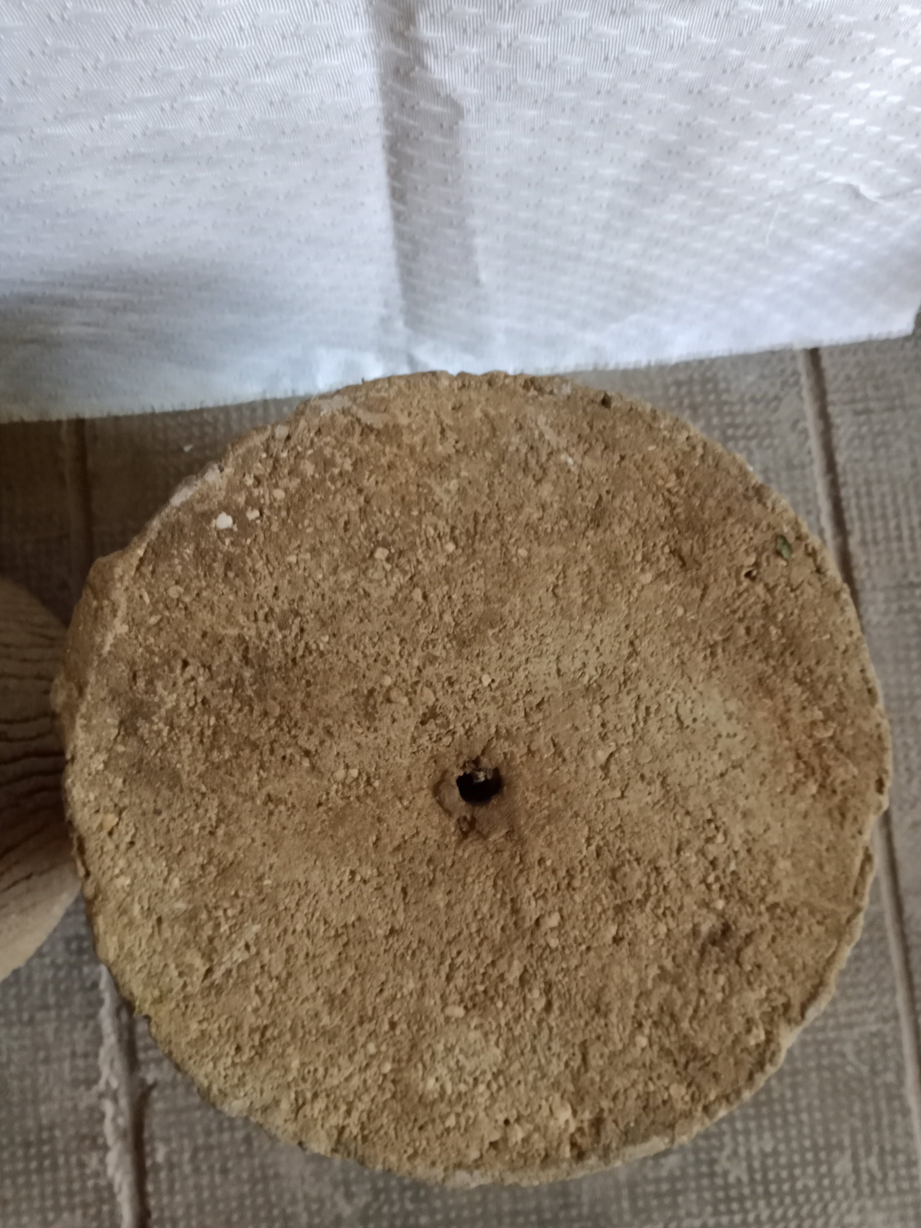 Trunk-shaped flower pots