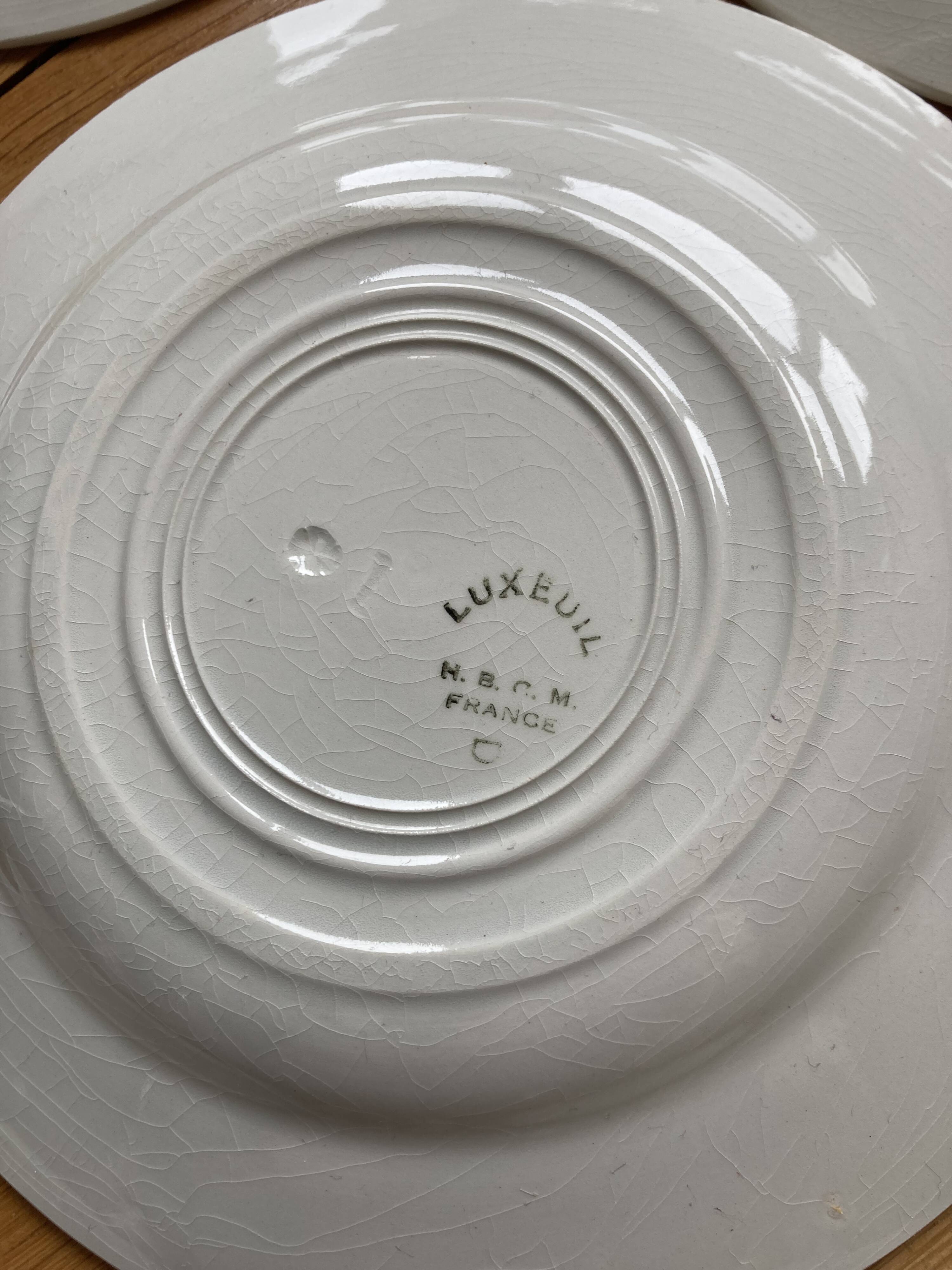 Luxury dessert plates poppies Luxeuil hbcm