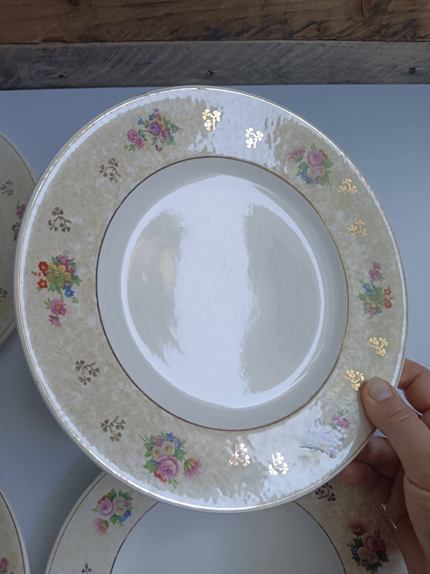 Set of 6 flat plates Salins model Simone beige with flowers.