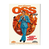 Affiche de cinema - oss 117