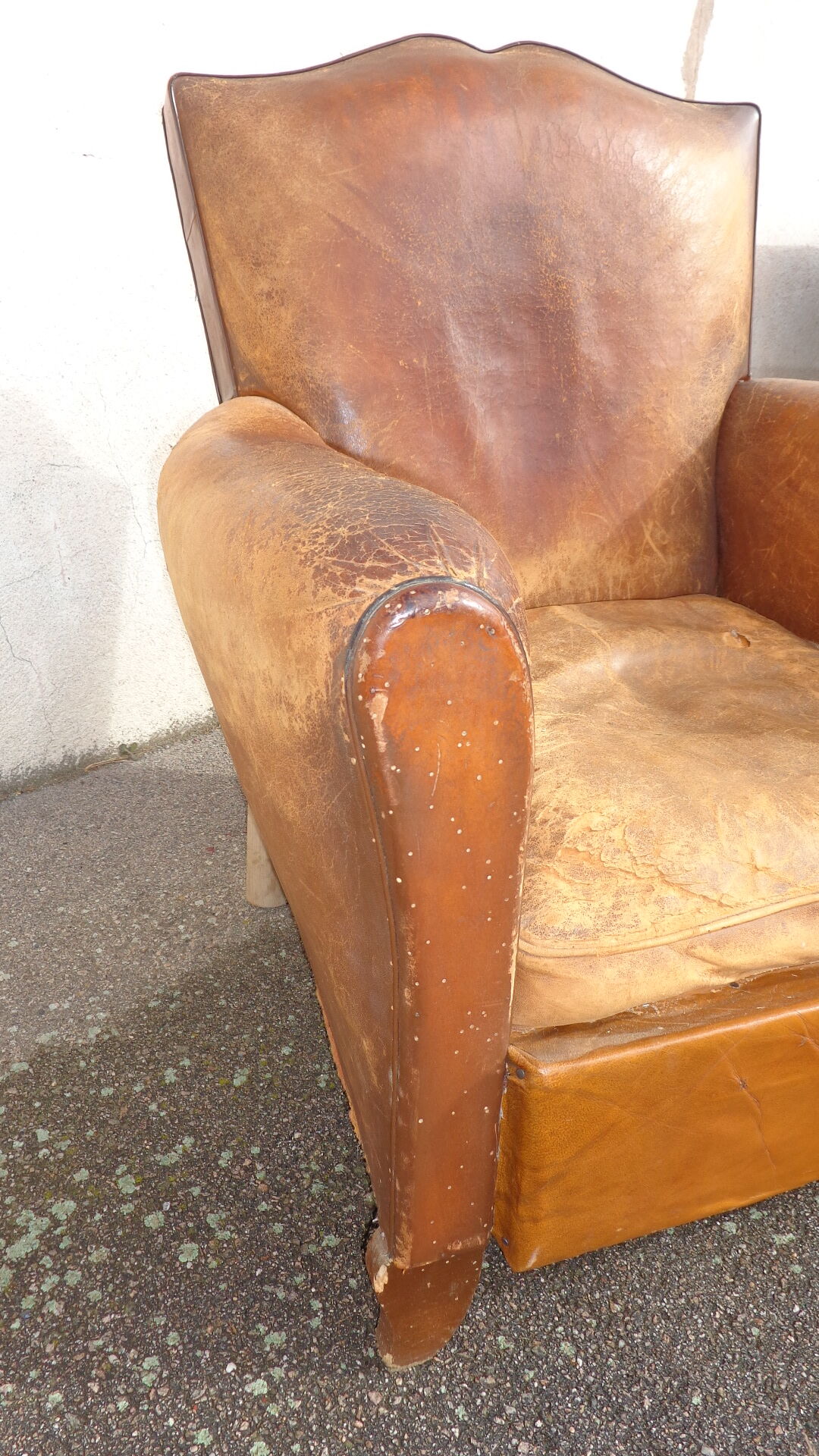 Mustache leather club chair