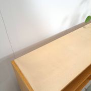 Deens Domino Mobler kast met klepdeur