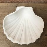 Set of 3 scallops in biscuit