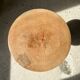 Side table, end of sofa in natural mango monoxyl conical tray H:50cm