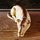 Porcelain biscuit greyhound
