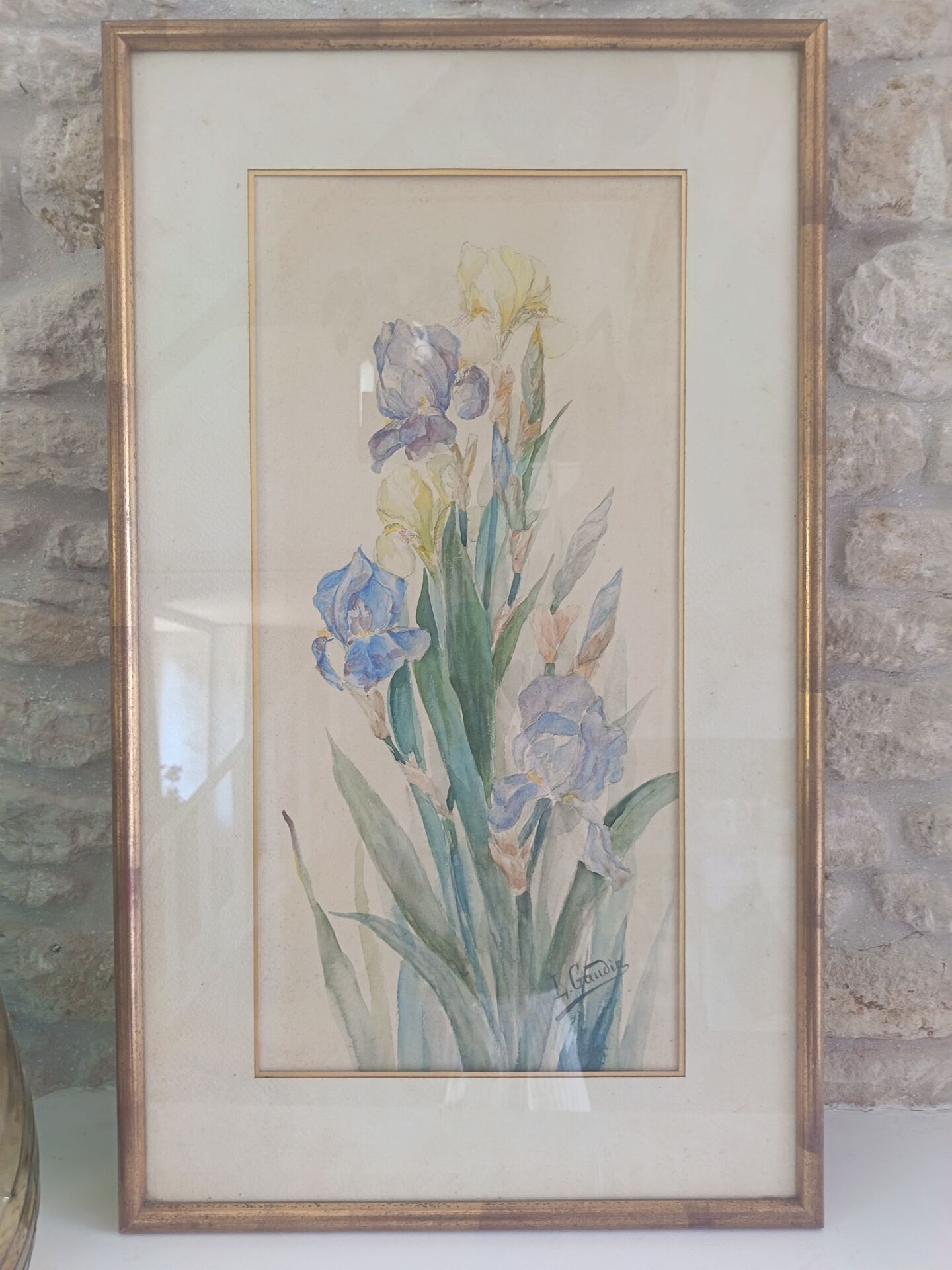 Painting of an iris