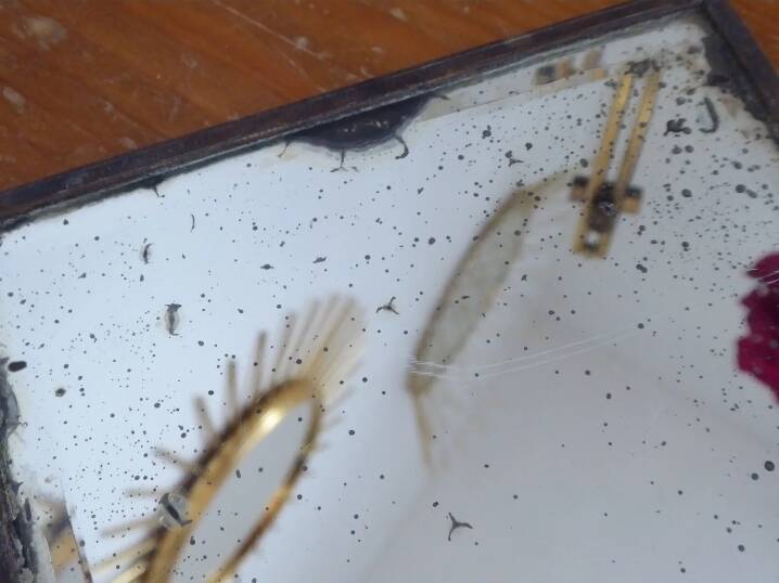 Table mirror on a brass easel