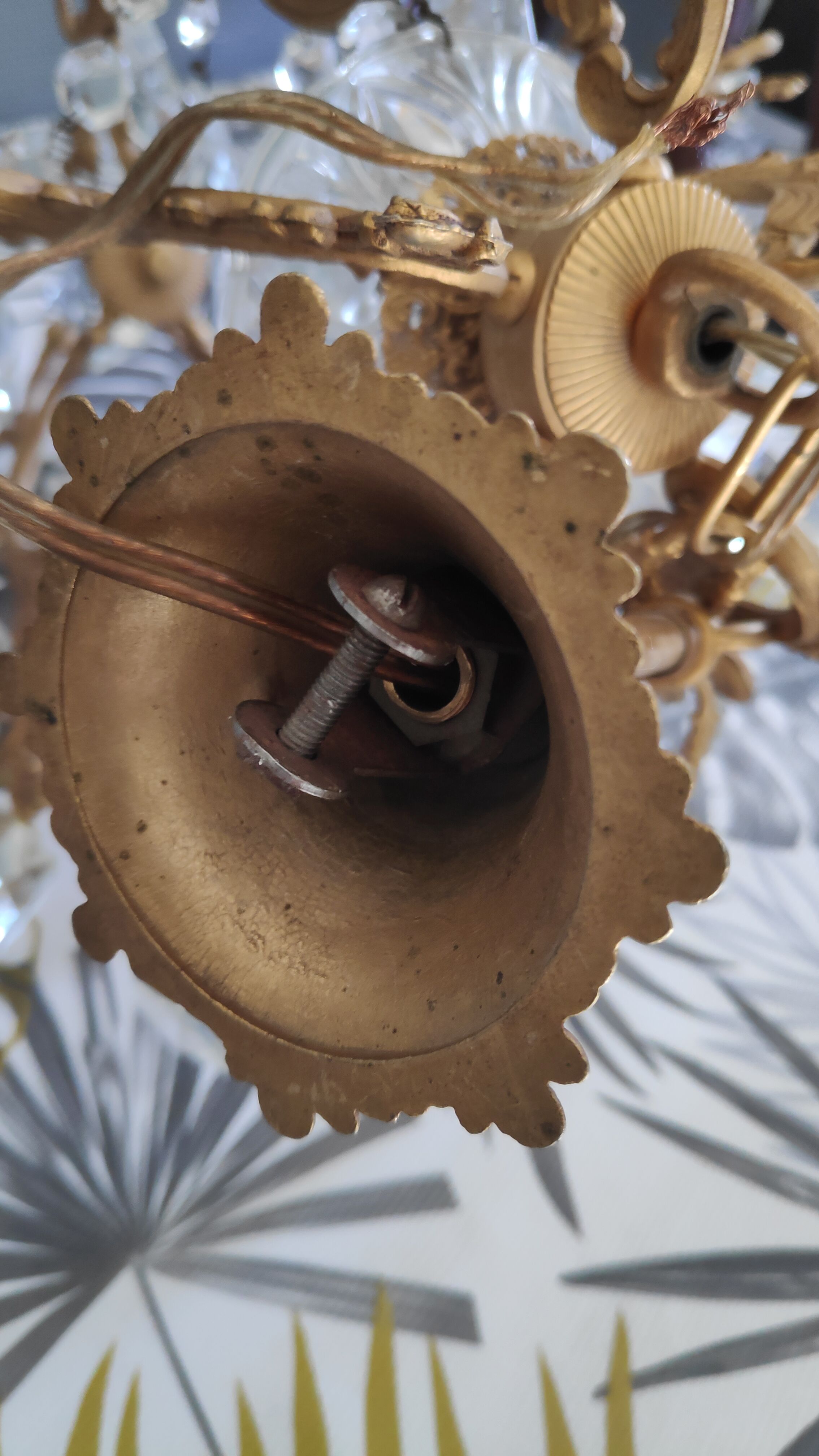 Bronze cage chandelier and crystal grapevines