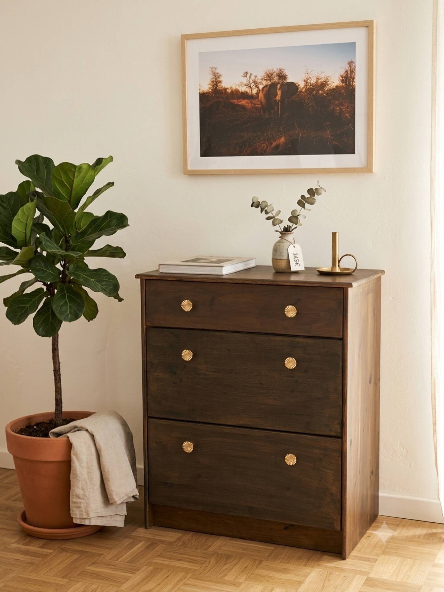 Solid wood shoe cabinet