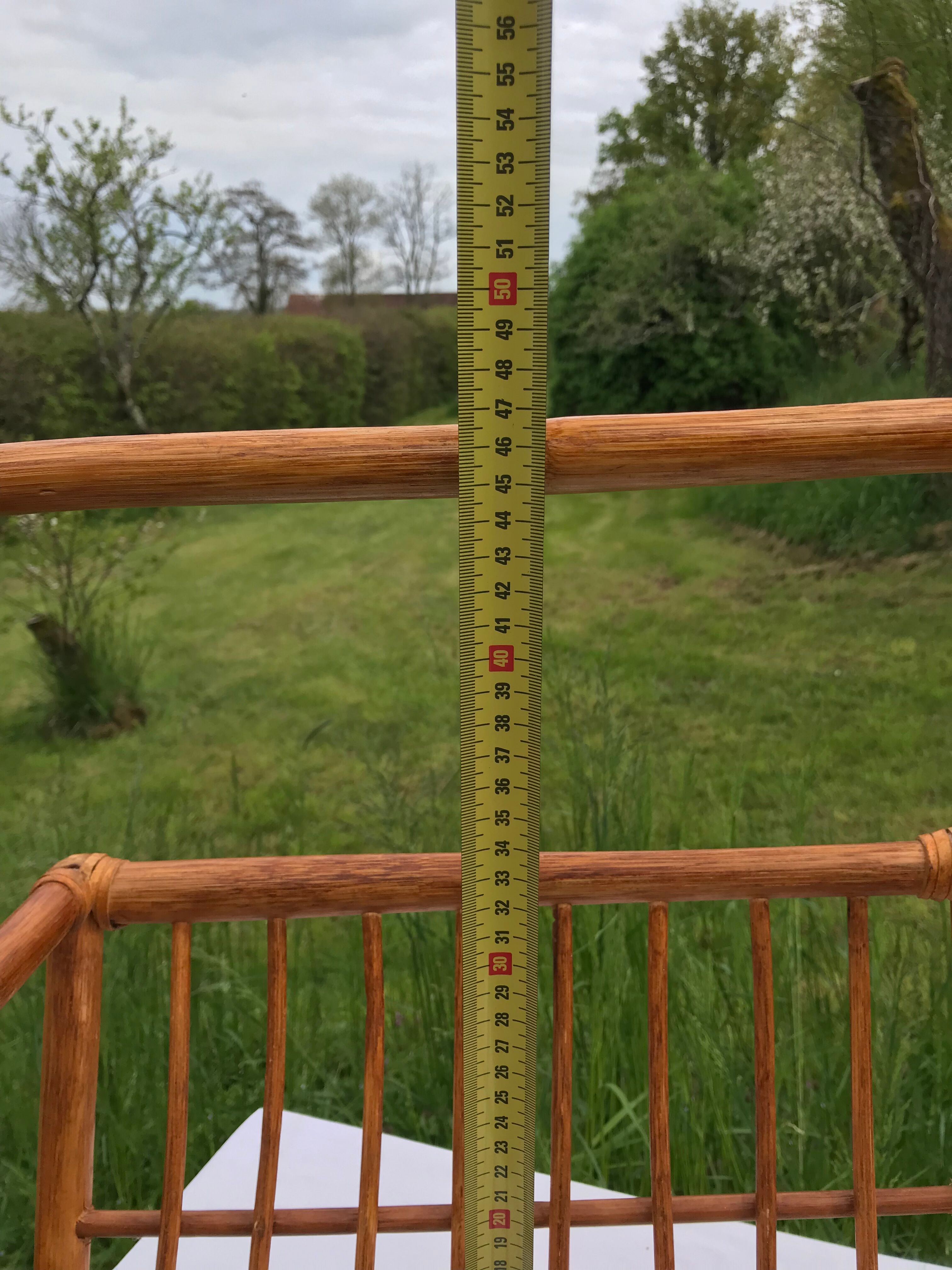 Rattan magazine holder