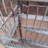 large wooden and iron birdcage 1930s