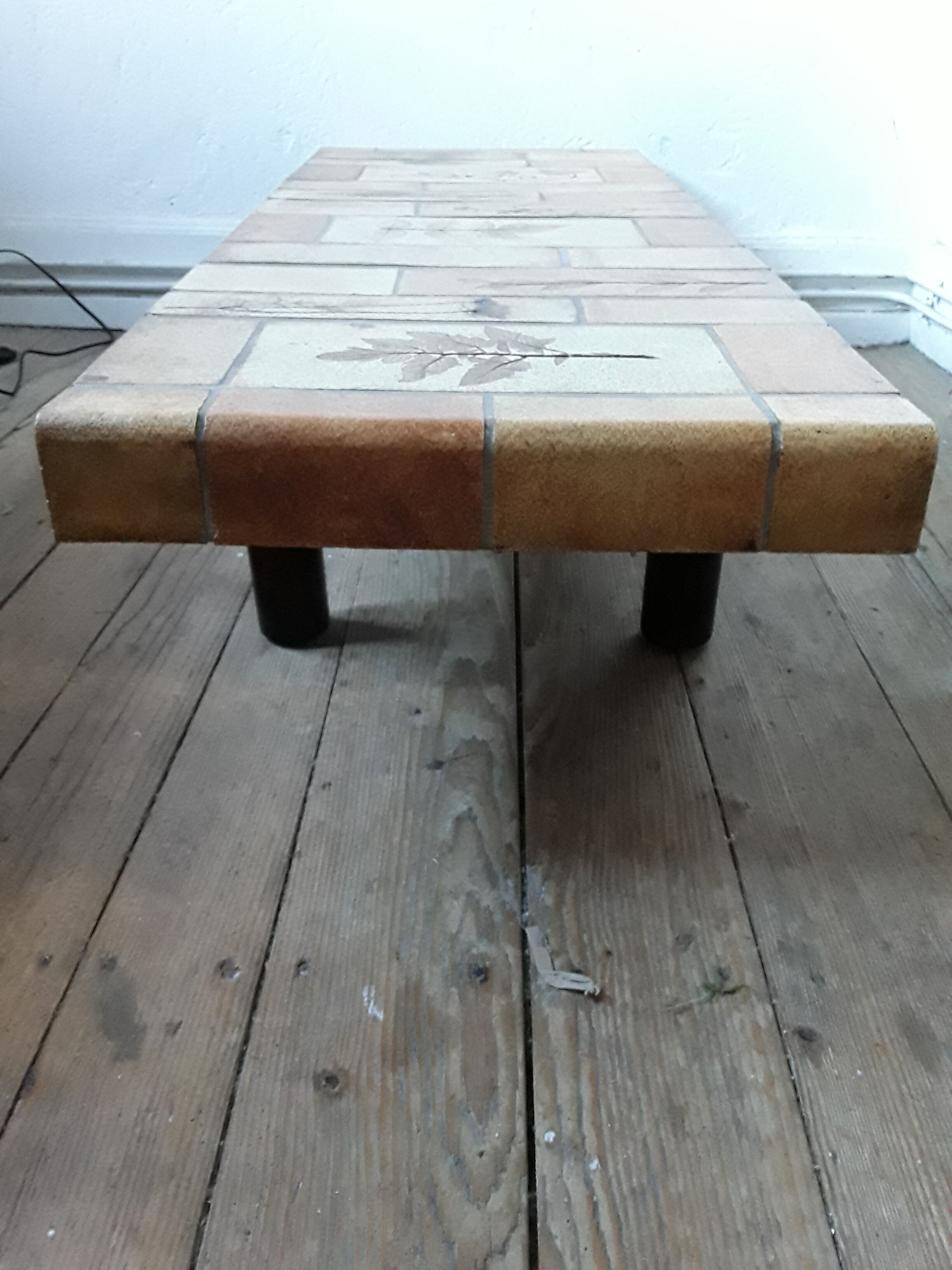 Coffee table Roger Capron model "herbarium"