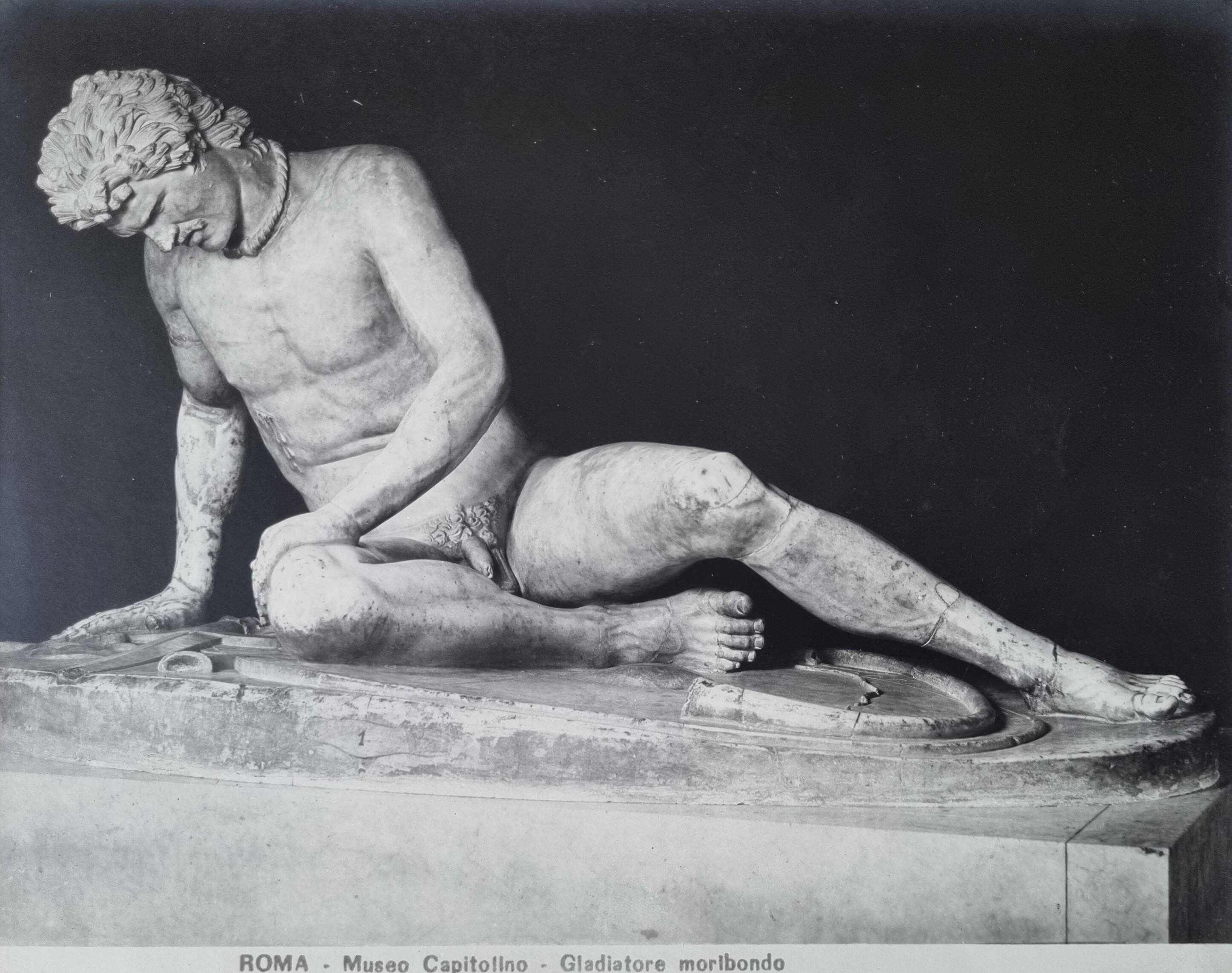 Photograph of an injured gladiator, Capitoline Museum, Rome, early 20th century, 37x30 cm.