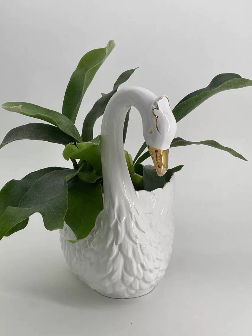 Vintage white and gold ceramic swan planter