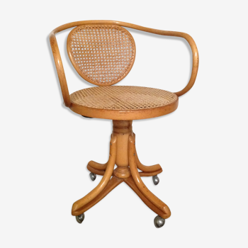 Curved tuna wood swivel chair
