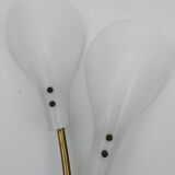 2 Brass and plexiglass tulip wall lights