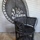 Emmanuelle armchair, peacock tail, rattan, wenge, vintage, 70s
