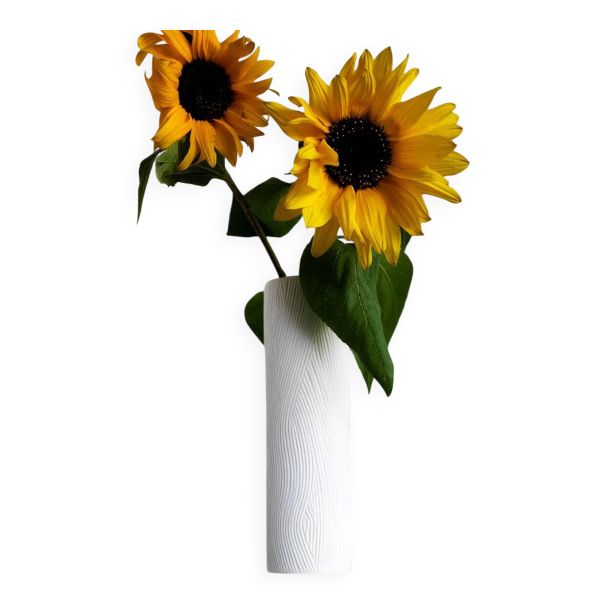 Mid-century modern Op-Art Studio Line bisque porcelain vase by Werner Schreib for Rosenthal, 1960s