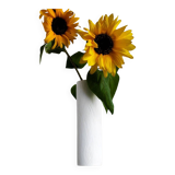 Mid-century modern Op-Art Studio Line bisque porcelain vase by Werner Schreib for Rosenthal, 1960s