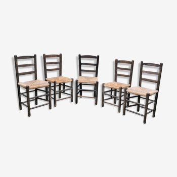 Set de 5 chaises pailles 1960