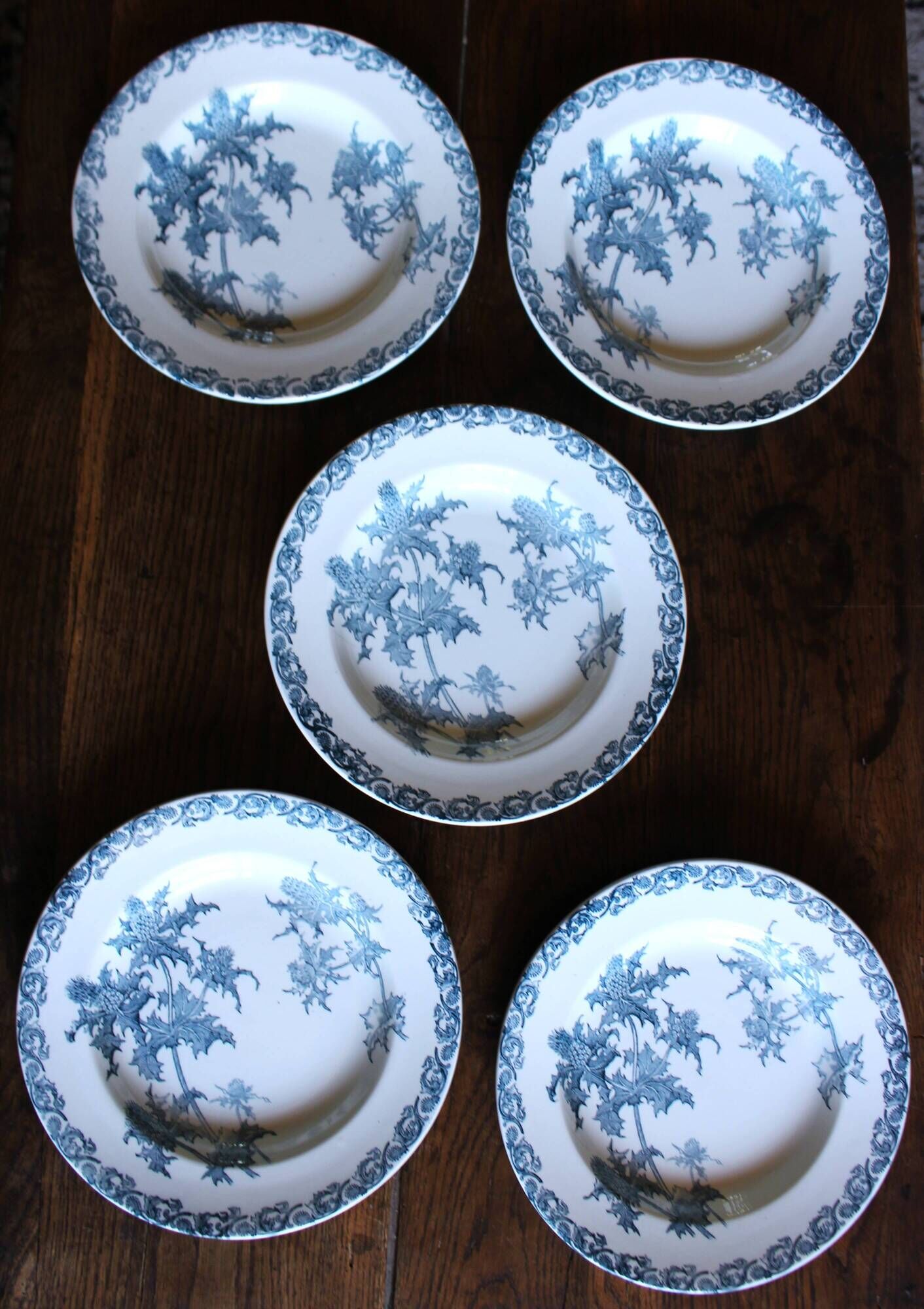 A set of 5 deep plates Chardon Bleu Terre de Fer Clairefontaine Righi