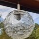 Hanging lamp 1970