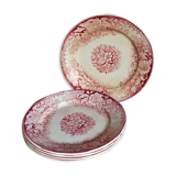 Five plates of earthenware from Pexonne 19th service "flowers"