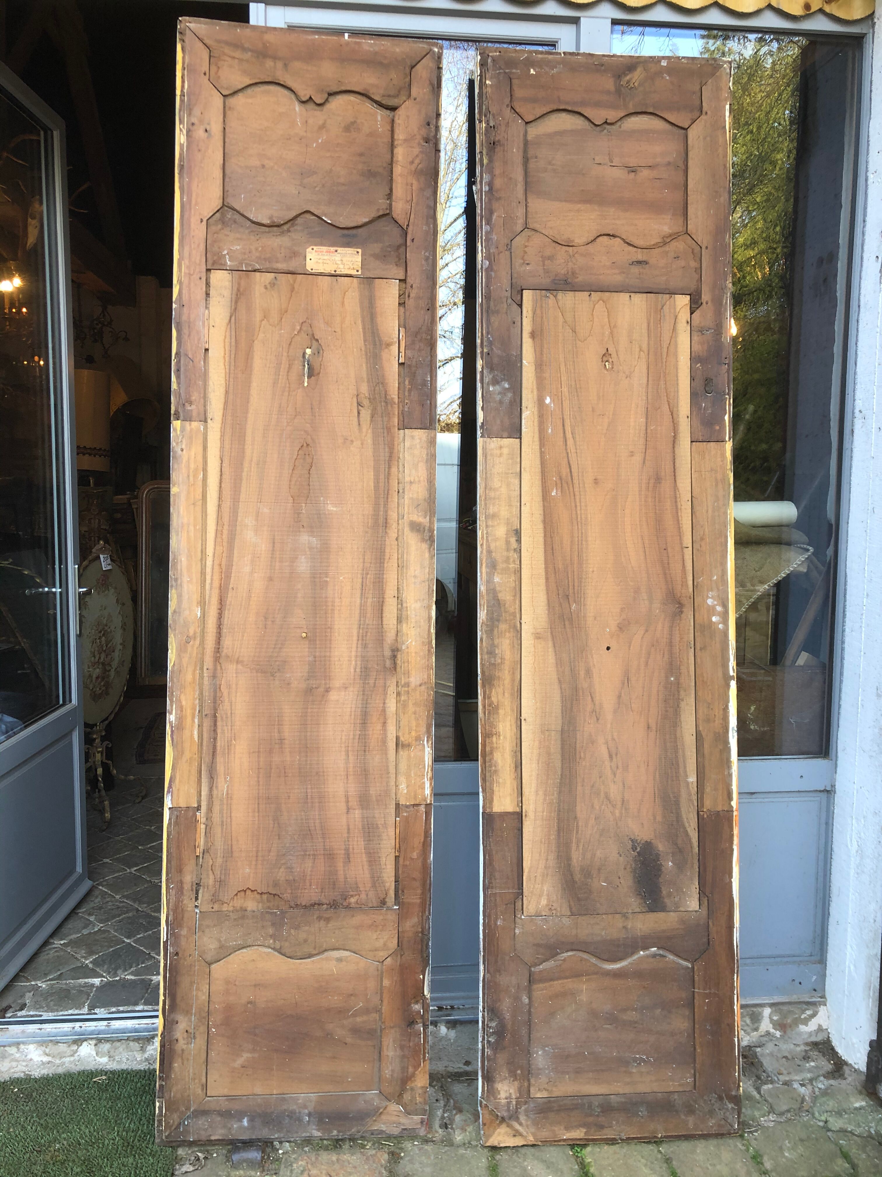 Pair of old patinated closet doors