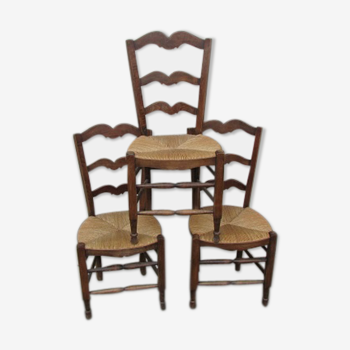 Lot de 3 chaises rustiques en très bon état