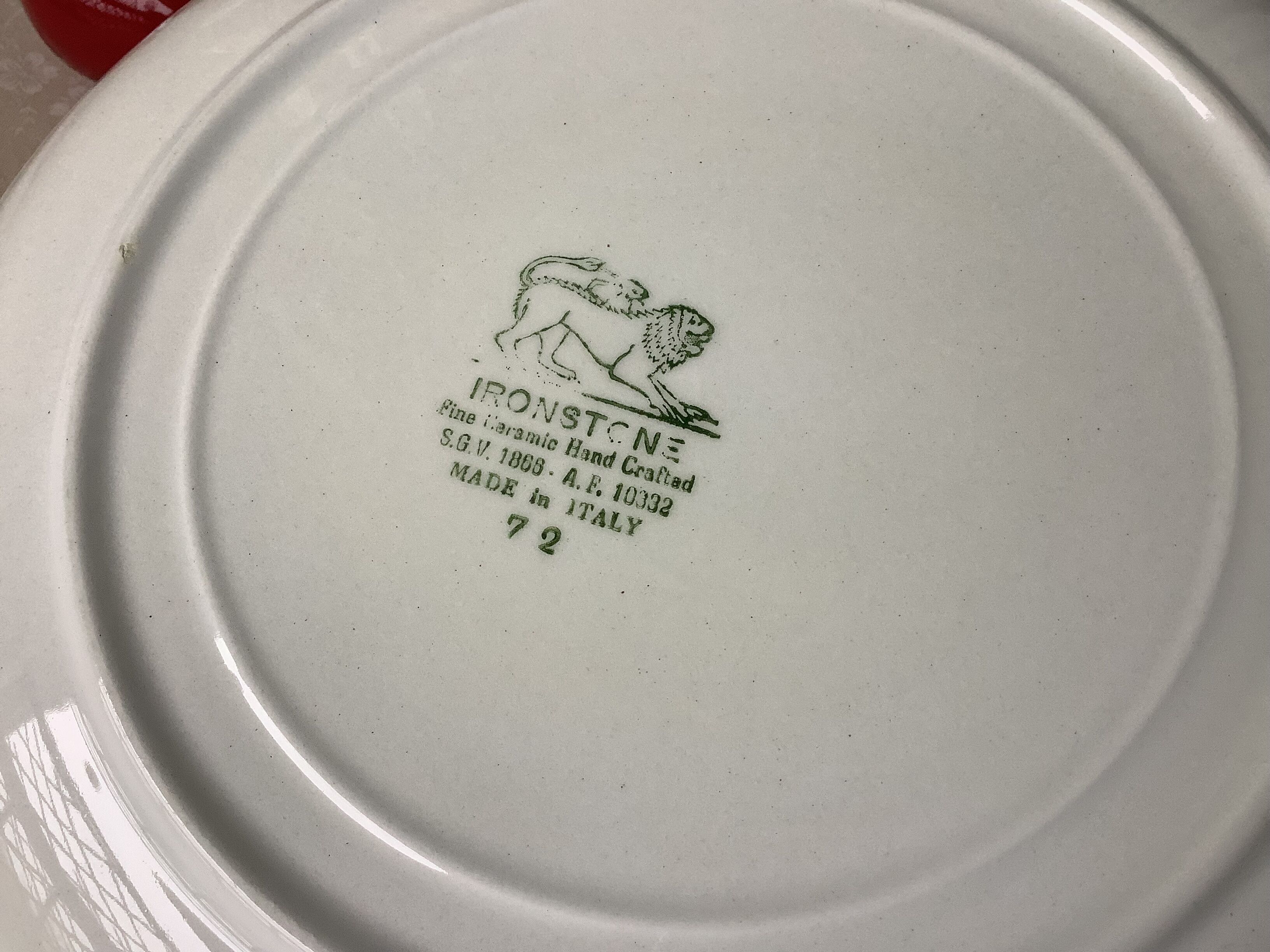 Ironstone plates SGV Hand Crafted Made in Italy